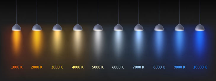 &copy;Foto: iStock-Veronika-Oliinyk 